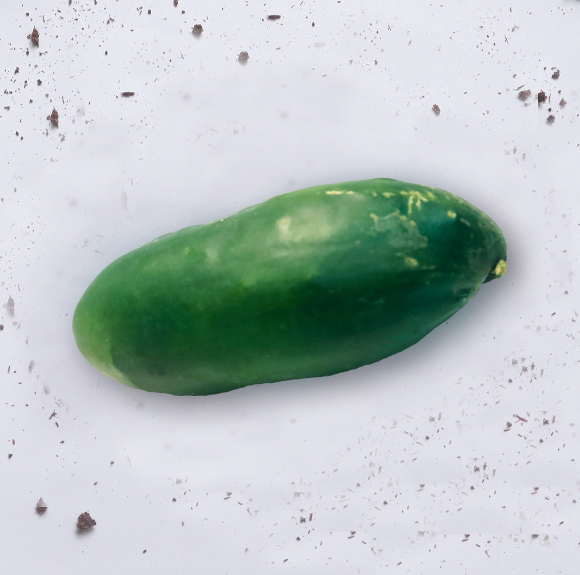 Pepino