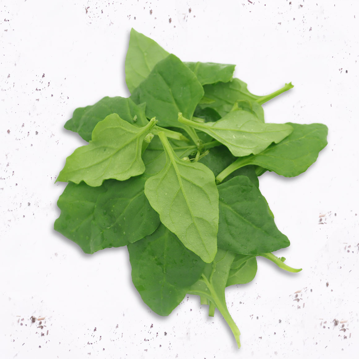 Espinaca Verde