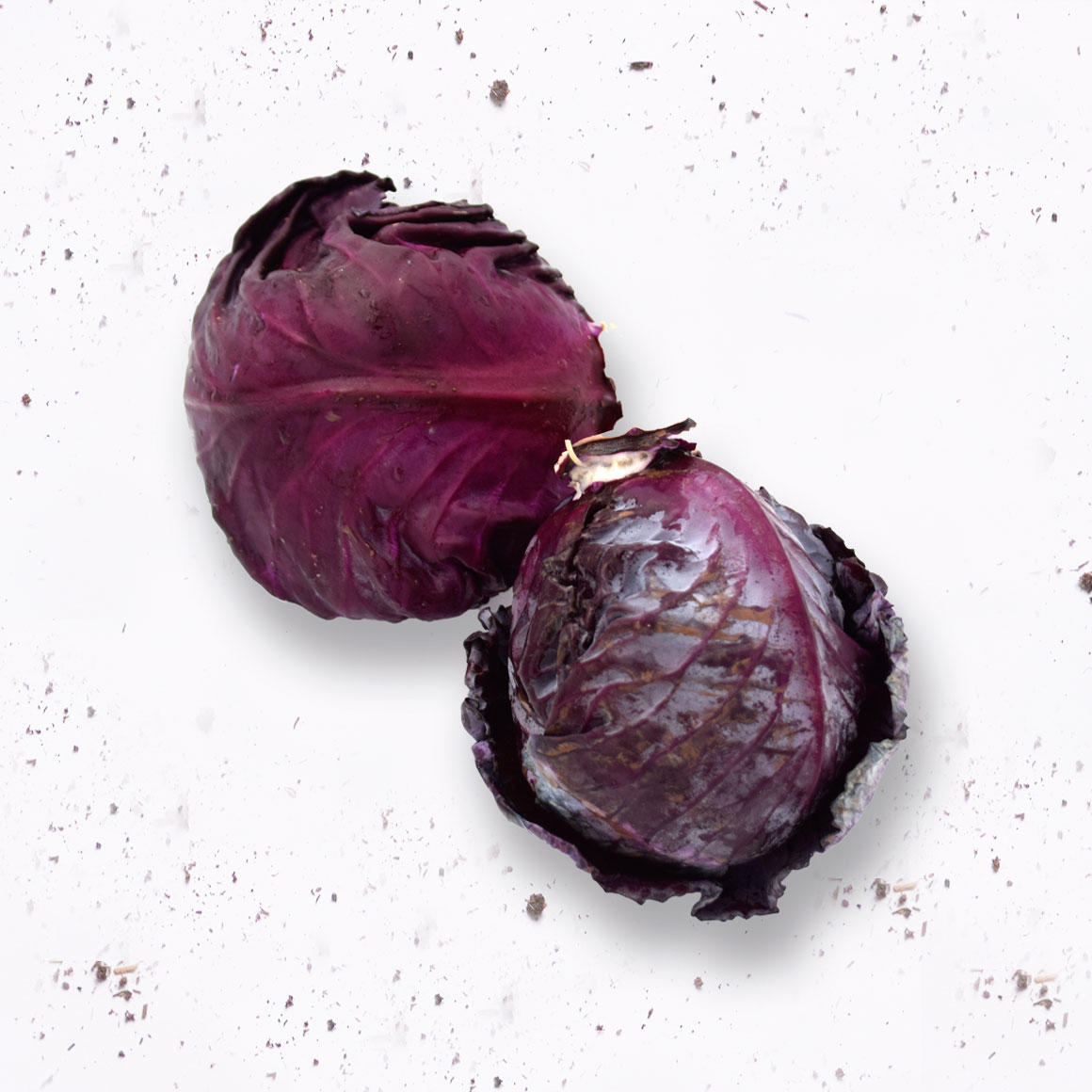 Repollo Morado