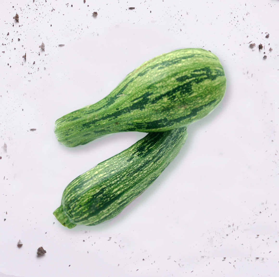 Zucchini - Calabacín Mediano