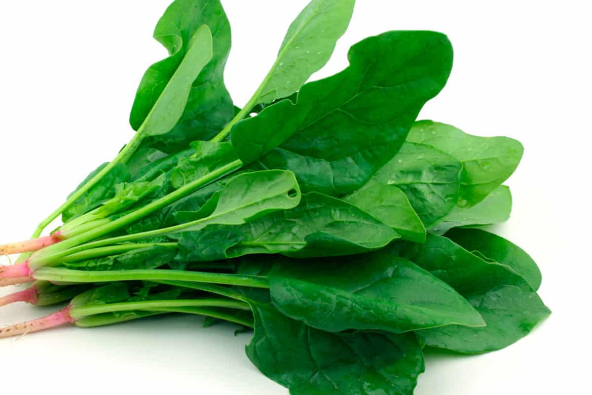 Espinaca Viroflai